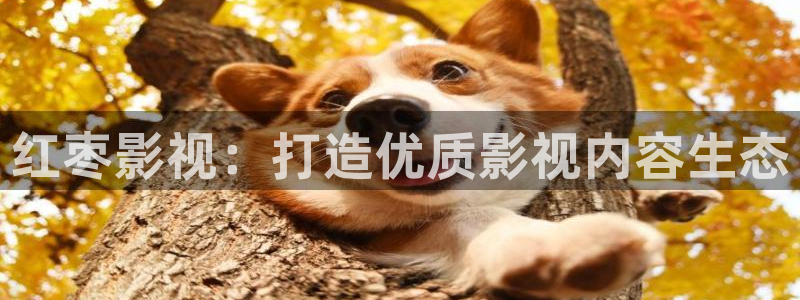 七七影视网：红枣影视：打造优质影视内容生态