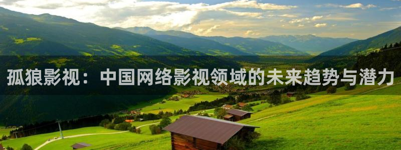 米奇七七七影院：孤狼影视：中国网络影视领域的未来趋势与潜力