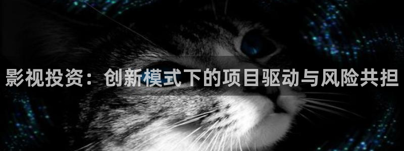 七七影视大全免费追剧app下载最新：影视投资：创新模式下的项目驱动与风险共担