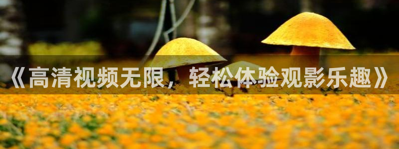 米奇七七七影院：《高清视频无限，轻松体验观影乐趣》