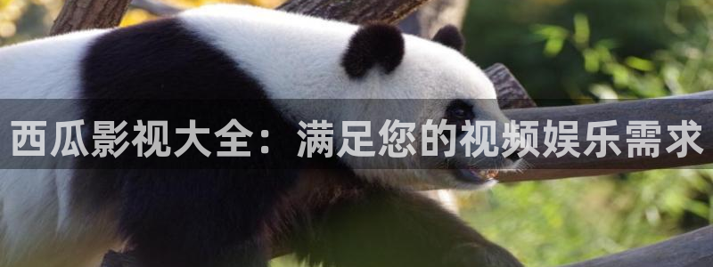七七影院免费观看电视剧大全下载：西瓜影视大全：满足您的视频娱乐需求