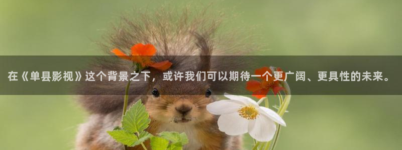 七七影院桃：在《单县影视》这个背景之下，或许我们可以期待一个更广阔、更具性的未来。